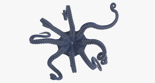 Octopus fx