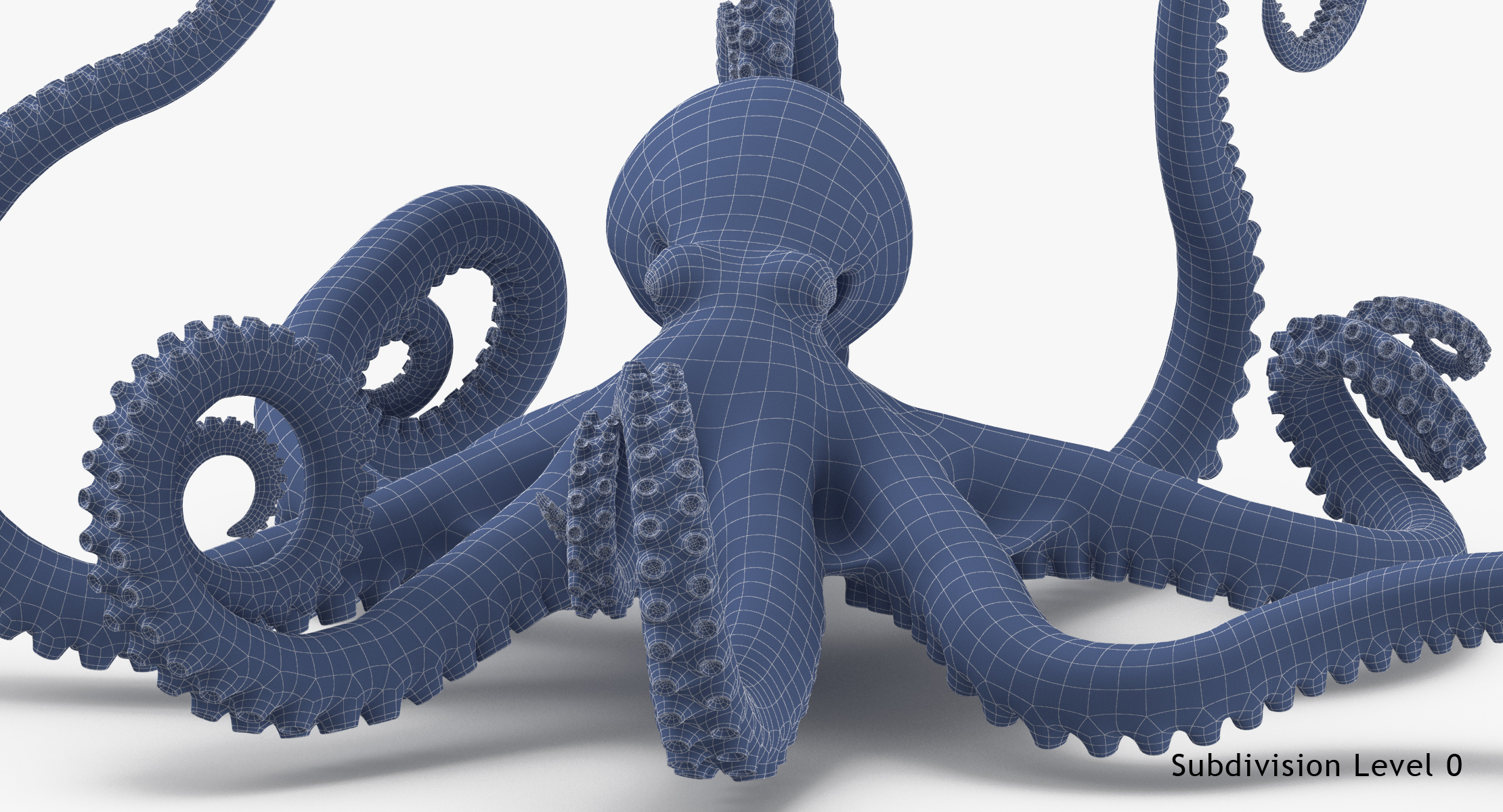 Octopus fx