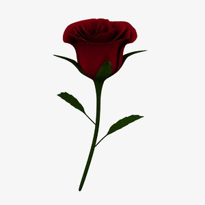 3d model red rose