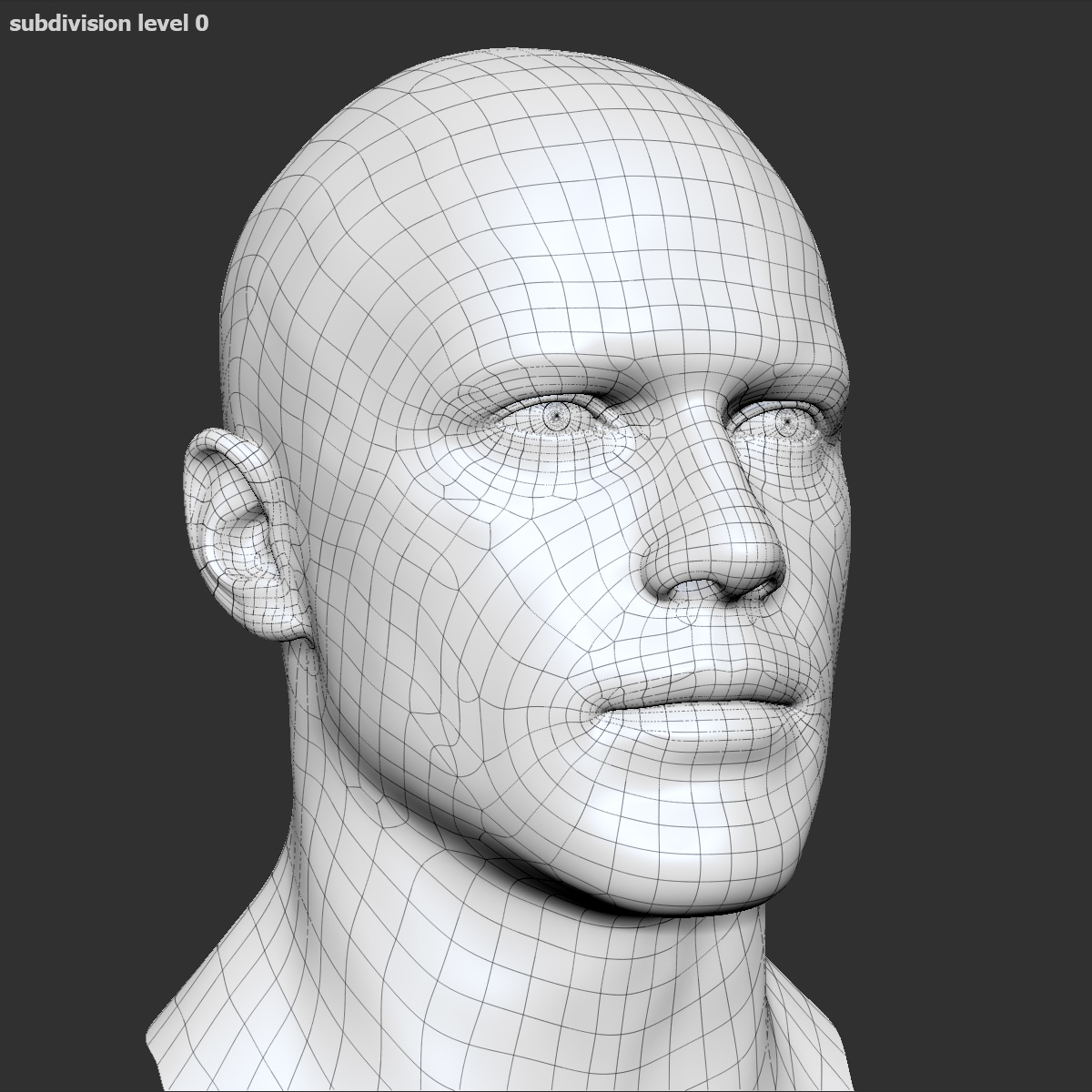 3d realistic male head