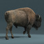 american bison group fur 3d max