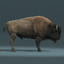 american bison group fur 3d max