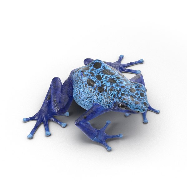 poison dart frog rigged ma