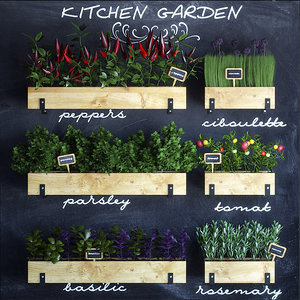 max kitchen garden set
