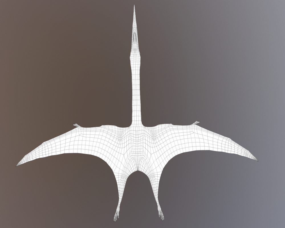 quetzalcoatlus 3d model