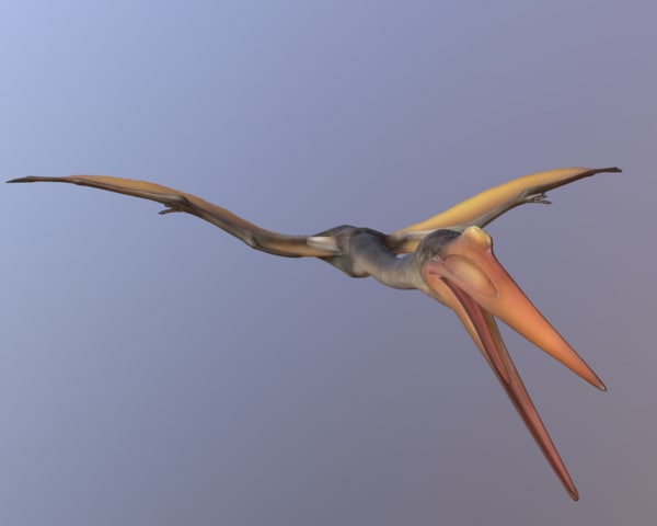 quetzalcoatlus 3d model