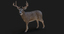 3d model deer rigged 2 fur
