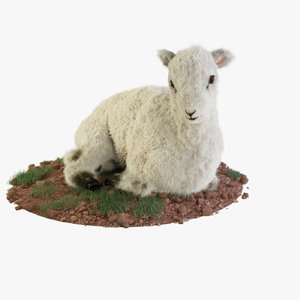 realistic rigged lamb fur 3d model