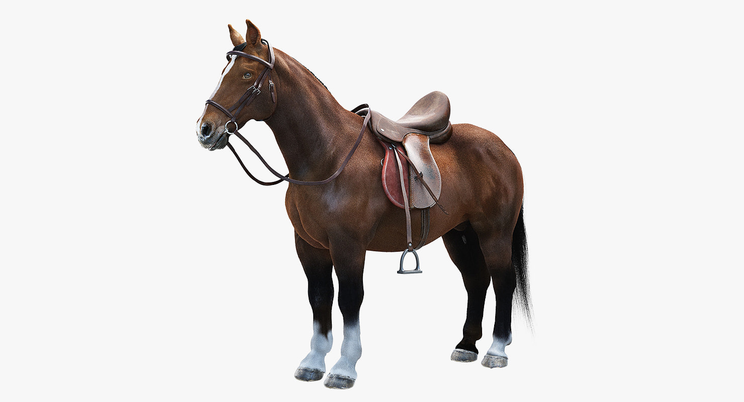 realistic horse saddle 3d max