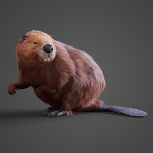 obj realistic beaver
