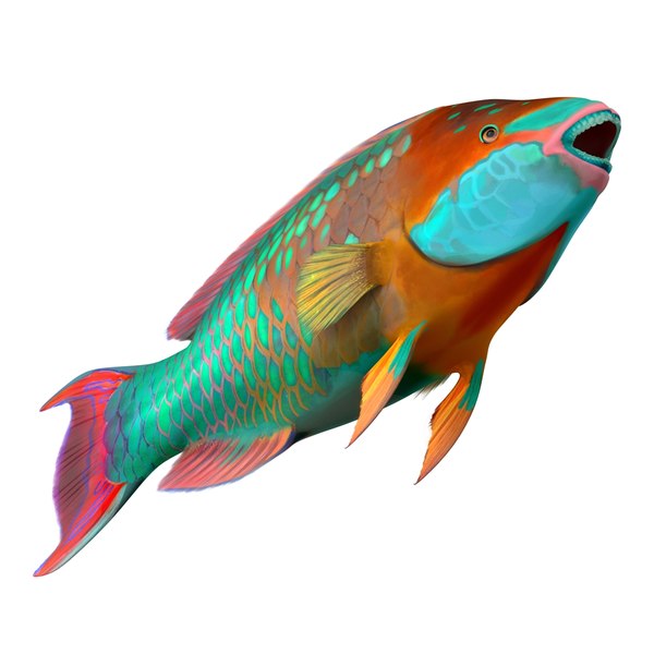 ma rainbow parrot fish rigged