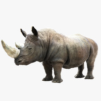 Rhinoceros 3d models free download