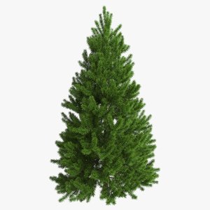 fir tree 3d max