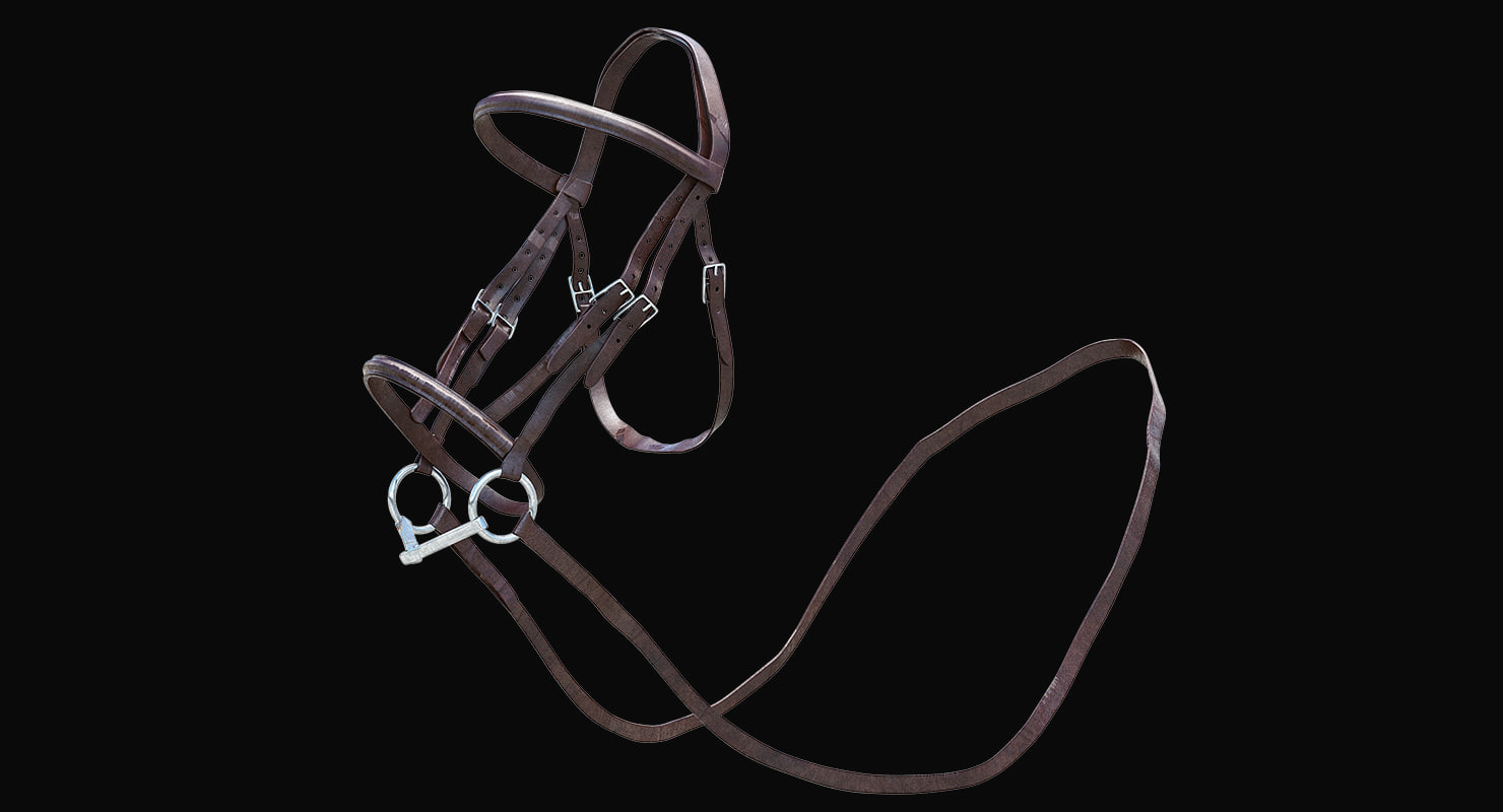 3d horse bridle