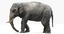 elephant rigged 3d fbx