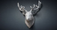 reindeer deer head types 3d model