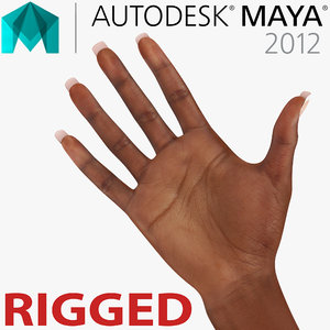 3d model female hand african american