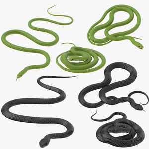 snakes black green poses 3d model