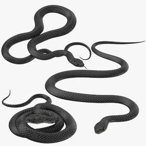 3d model black snake poses