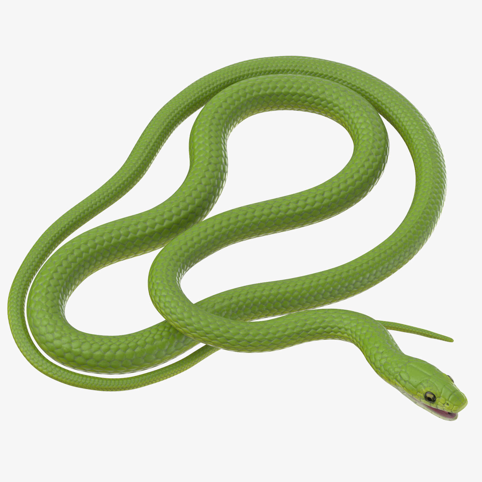 黑色和绿色蛇姿势3d模型