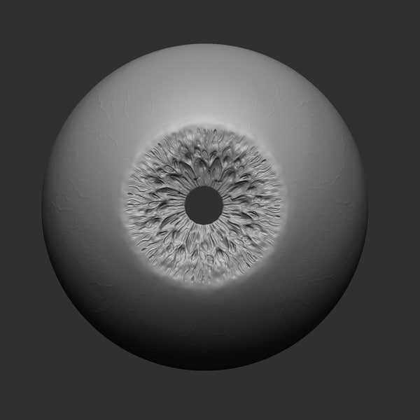 3d eye human iris model