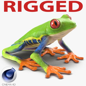 3d red eyed tree frog