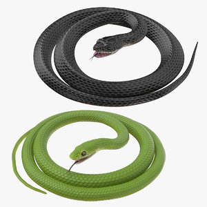 3d rigged snakes black green