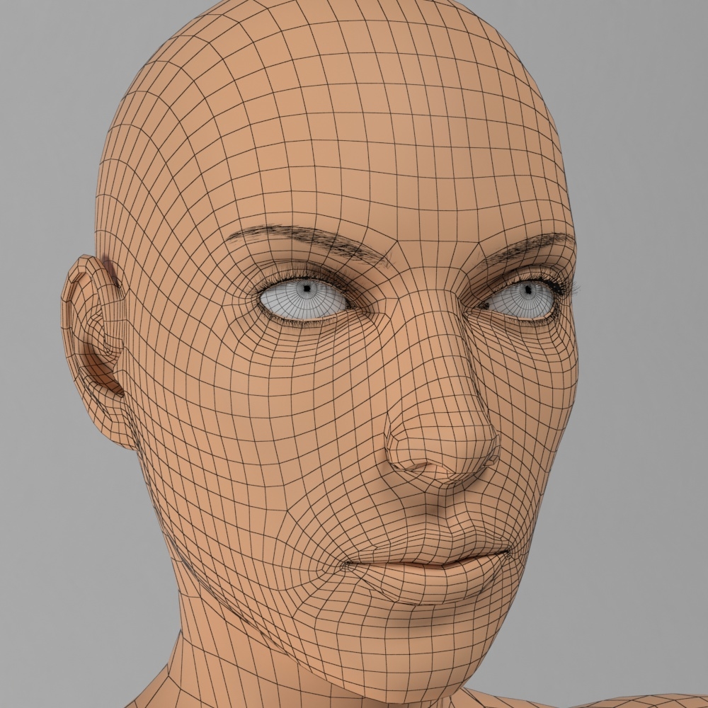 3d female body mesh model