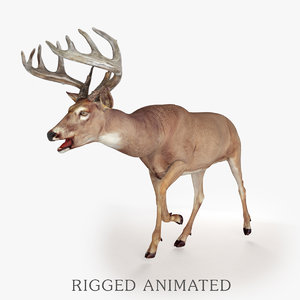 deer rigged 3d model