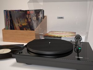 max realistic vinyl records