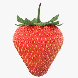 realistic strawberry max