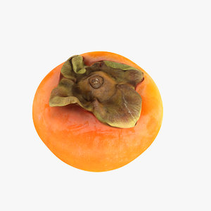 persimmon fruit 3d model