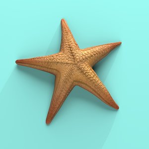 starfish star fish 3d model
