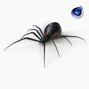 3d model black widow spider