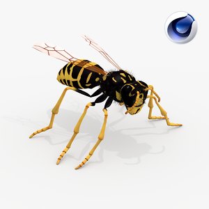 realistic wasp - 3d model