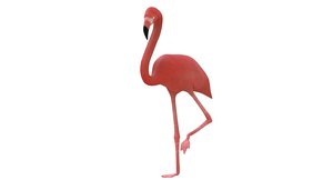 3d flamingo