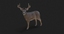 ma deer animations 2 fur