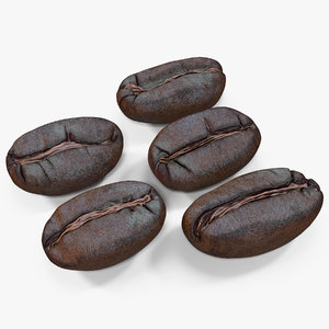 3d roasted coffee bean model