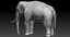 elephant rigged 3d fbx