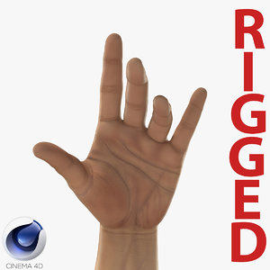 3d c4d man hands 2 rigged