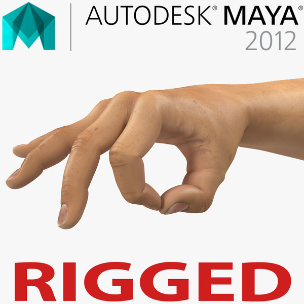 3d man hands 2 rigged