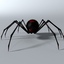 3d model black spider rigged