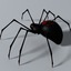 3d model black spider rigged