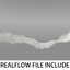 flow realflow 3d model