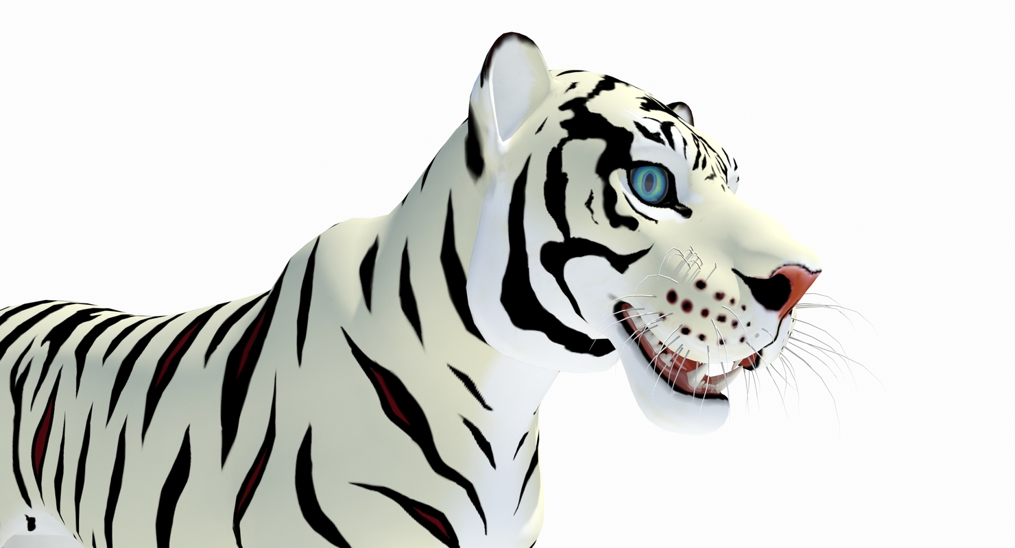 cartoon tiger white max