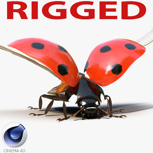 3d flying ladybug rigged