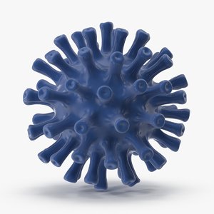 herpes virus 3d model