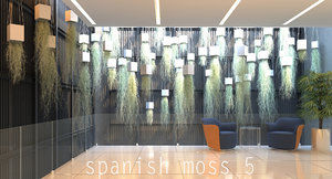 3d model spanish moss