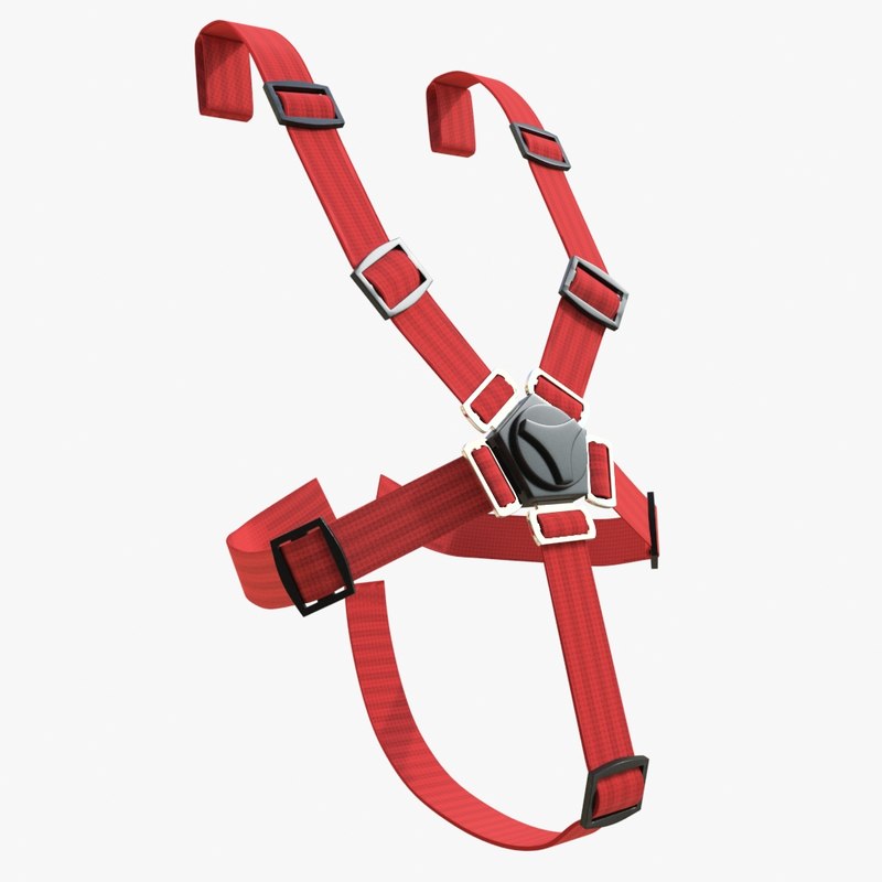 safety-belts-01-max