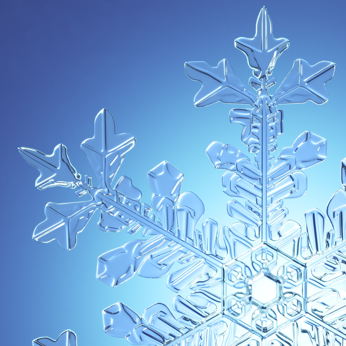 3d-snowflake-new-model